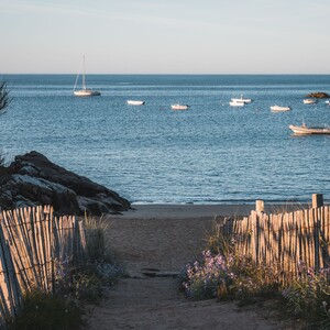 Accès à la plage entre les ganivelles sur l'île d'yeu