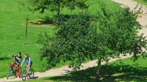 Camping de la Forêt