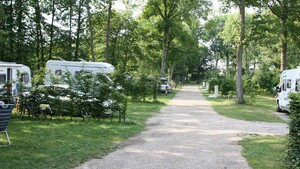 Camping de la Forêt